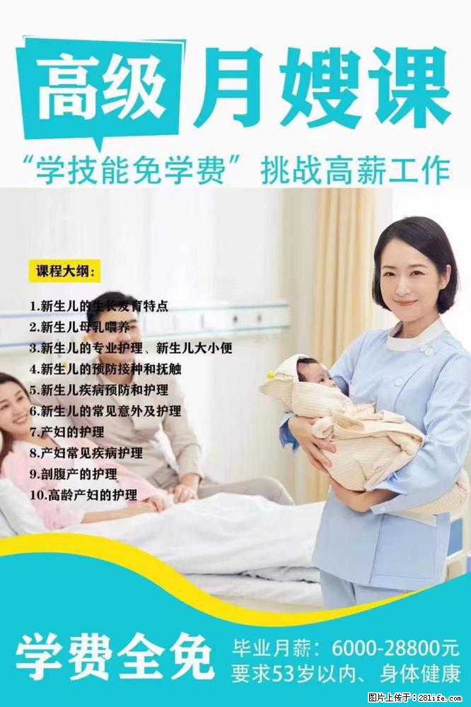 为什么要学习月嫂，育婴师？ - 其他广告 - 广告专区 - 哈密分类信息 - 哈密28生活网 hami.28life.net