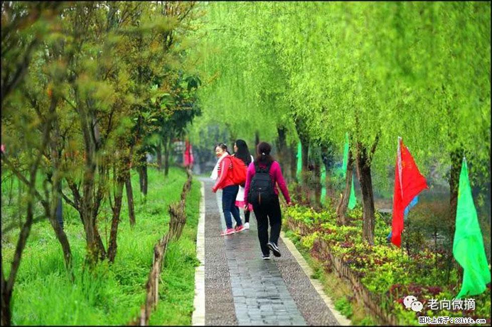 【春天,广西桂林灌阳县向您发出邀请!】江口老街又逢春 - 游山玩水 - 哈密生活社区 - 哈密28生活网 hami.28life.net