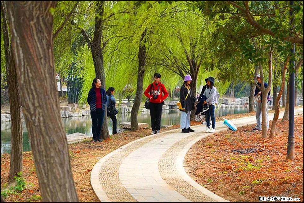 【春天,广西桂林灌阳县向您发出邀请!】江口老街又逢春 - 游山玩水 - 哈密生活社区 - 哈密28生活网 hami.28life.net