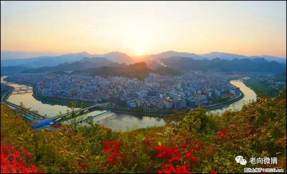 【春天，广西桂林灌阳县向您发出邀请！】登麒麟山，相约映山红 - 游山玩水 - 哈密生活社区 - 哈密28生活网 hami.28life.net