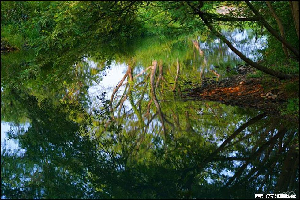 【春天，广西桂林灌阳县向您发出邀请！】熊家寨湿地公园 - 游山玩水 - 哈密生活社区 - 哈密28生活网 hami.28life.net