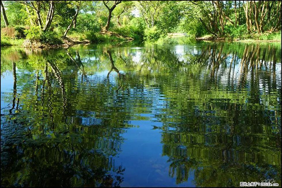 【春天，广西桂林灌阳县向您发出邀请！】熊家寨湿地公园 - 游山玩水 - 哈密生活社区 - 哈密28生活网 hami.28life.net