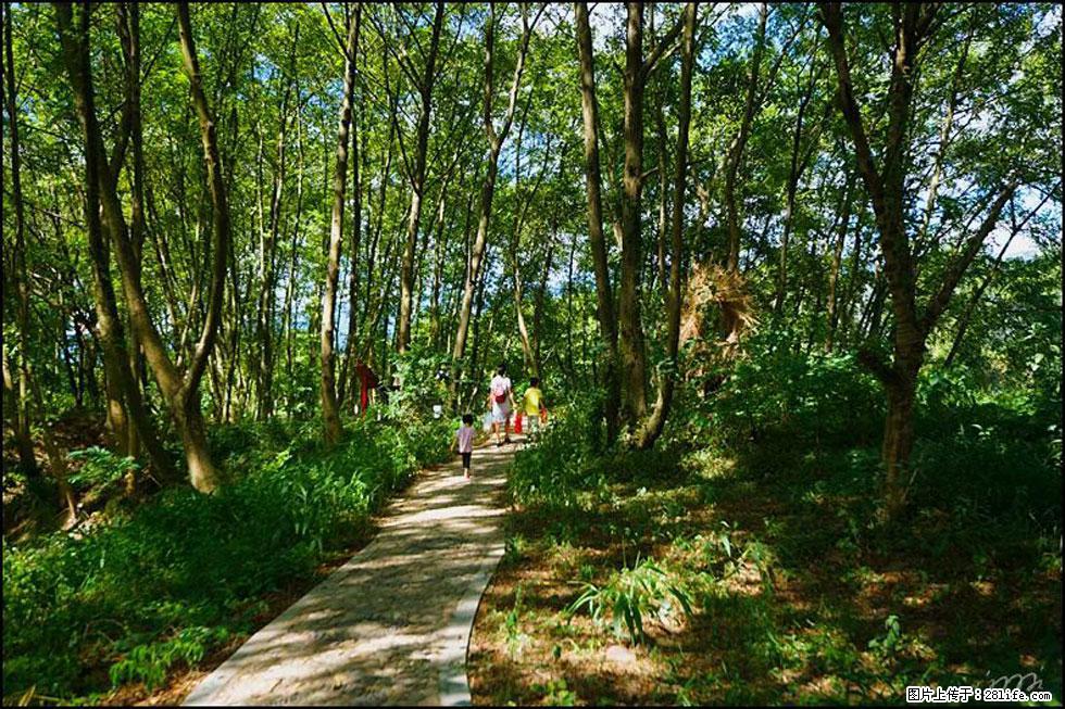 【春天，广西桂林灌阳县向您发出邀请！】熊家寨湿地公园 - 游山玩水 - 哈密生活社区 - 哈密28生活网 hami.28life.net