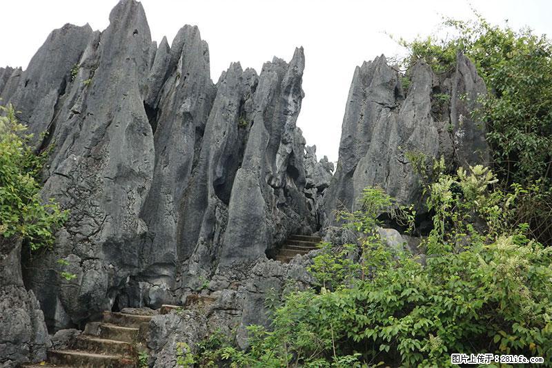 桂林旅游名城景点：灌阳文市石林 - 游山玩水 - 哈密生活社区 - 哈密28生活网 hami.28life.net