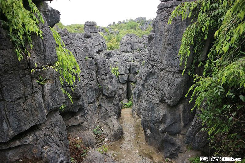 桂林旅游名城景点：灌阳文市石林 - 游山玩水 - 哈密生活社区 - 哈密28生活网 hami.28life.net