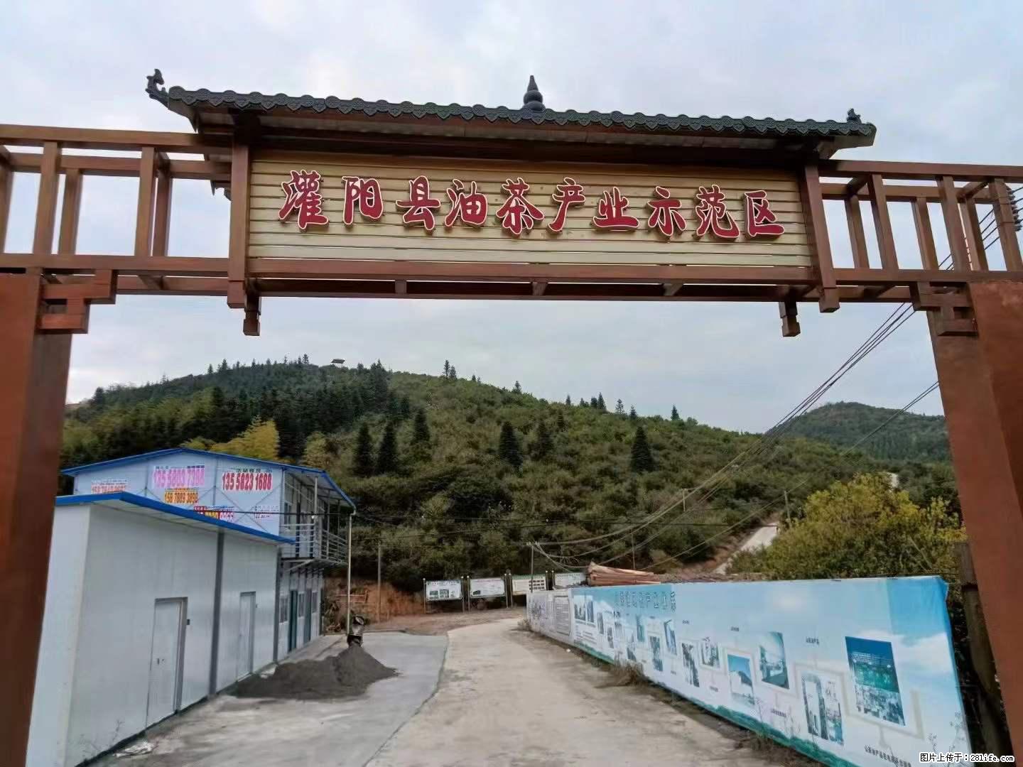 【灌阳县油茶产业示范区】一个有着充实的精神生活的人，对待身外之物自会有一种淡泊的态度 - 美食天地 - 哈密生活社区 - 哈密28生活网 hami.28life.net