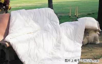 被子有异味？只要这样做，比晒太阳还强100倍！ - 家居生活 - 哈密生活社区 - 哈密28生活网 hami.28life.net