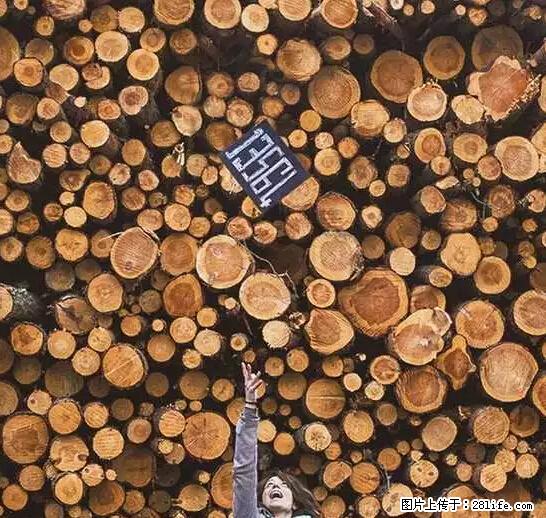辞掉工作周游世界？现在他们在洗厕所…… - 游山玩水 - 哈密生活社区 - 哈密28生活网 hami.28life.net