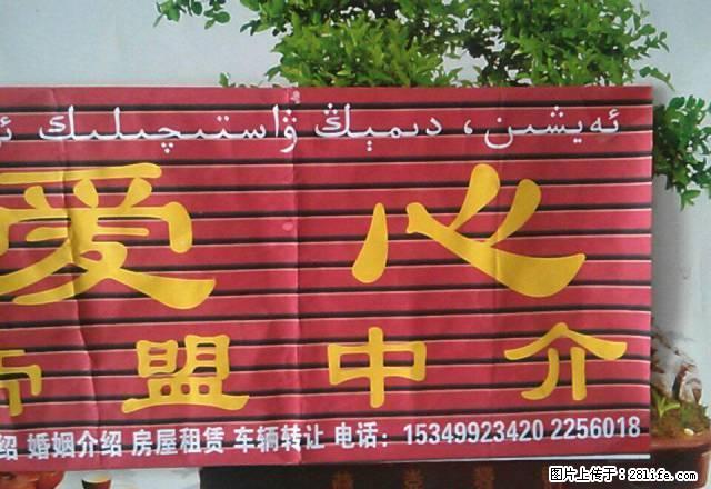 市委家属院65米3楼950元拎包入住朝阳干净中介费300元 - 房屋出租 - 房屋租售 - 哈密分类信息 - 哈密28生活网 hami.28life.net