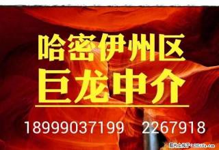 丽园小区80平6楼简装3室2厅拎包入住75o元 联汇中介 - 哈密28生活网 hami.28life.net