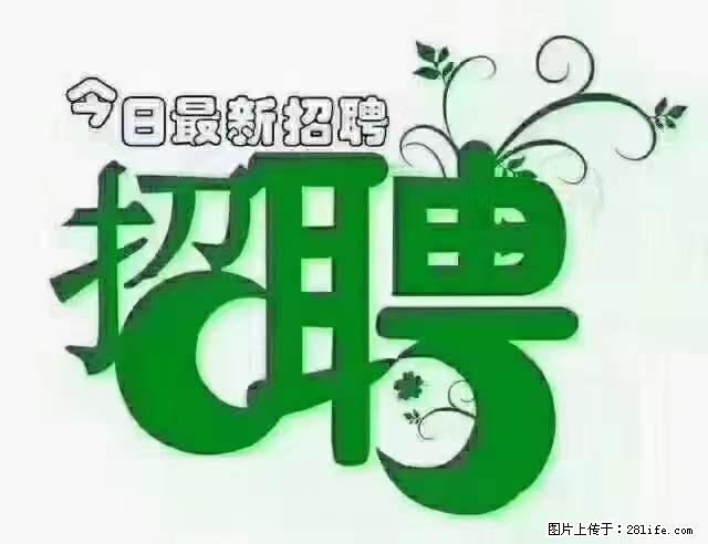 【招聘摄像师】待遇：试用期6000元/月，转正7000元/月+五险一金+餐补+节日福利+奖金 - 其他招聘信息 - 招聘求职 - 哈密分类信息 - 哈密28生活网 hami.28life.net