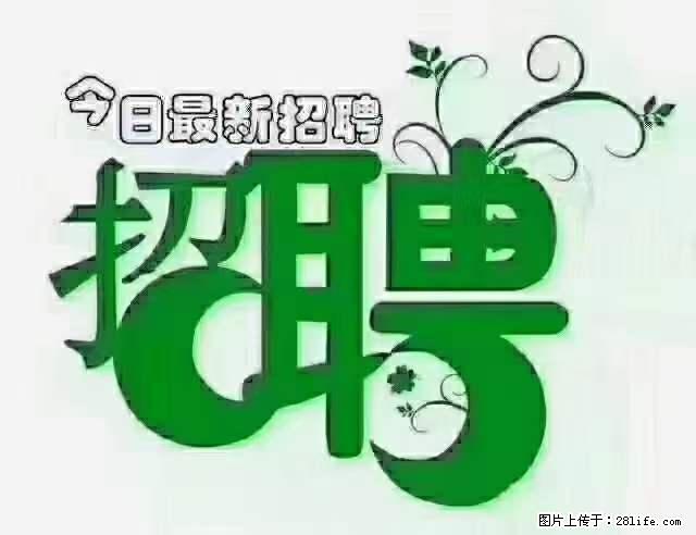 上海青浦区招仓管 - 职场交流 - 哈密生活社区 - 哈密28生活网 hami.28life.net