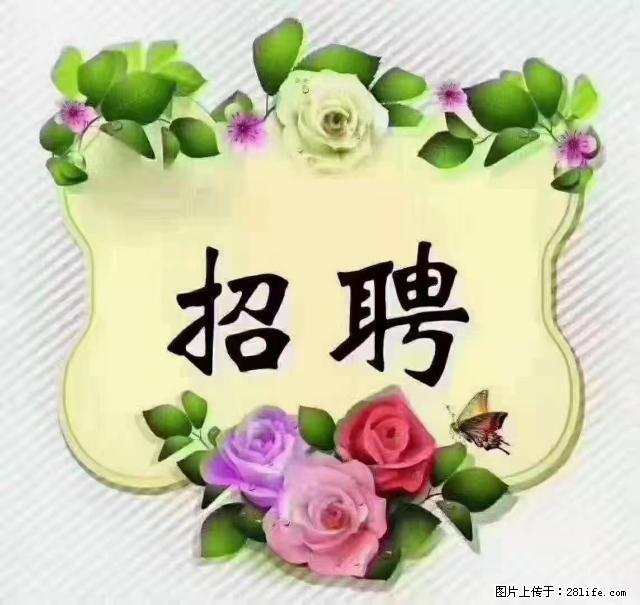 【招聘】住家育儿嫂，上户日期：4月4日，工作地址：上海 黄浦区 - 职场交流 - 哈密生活社区 - 哈密28生活网 hami.28life.net