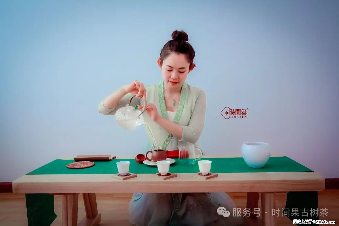 时间果百年古树龙珠普洱生茶 - 购物交流 - 哈密生活社区 - 哈密28生活网 hami.28life.net