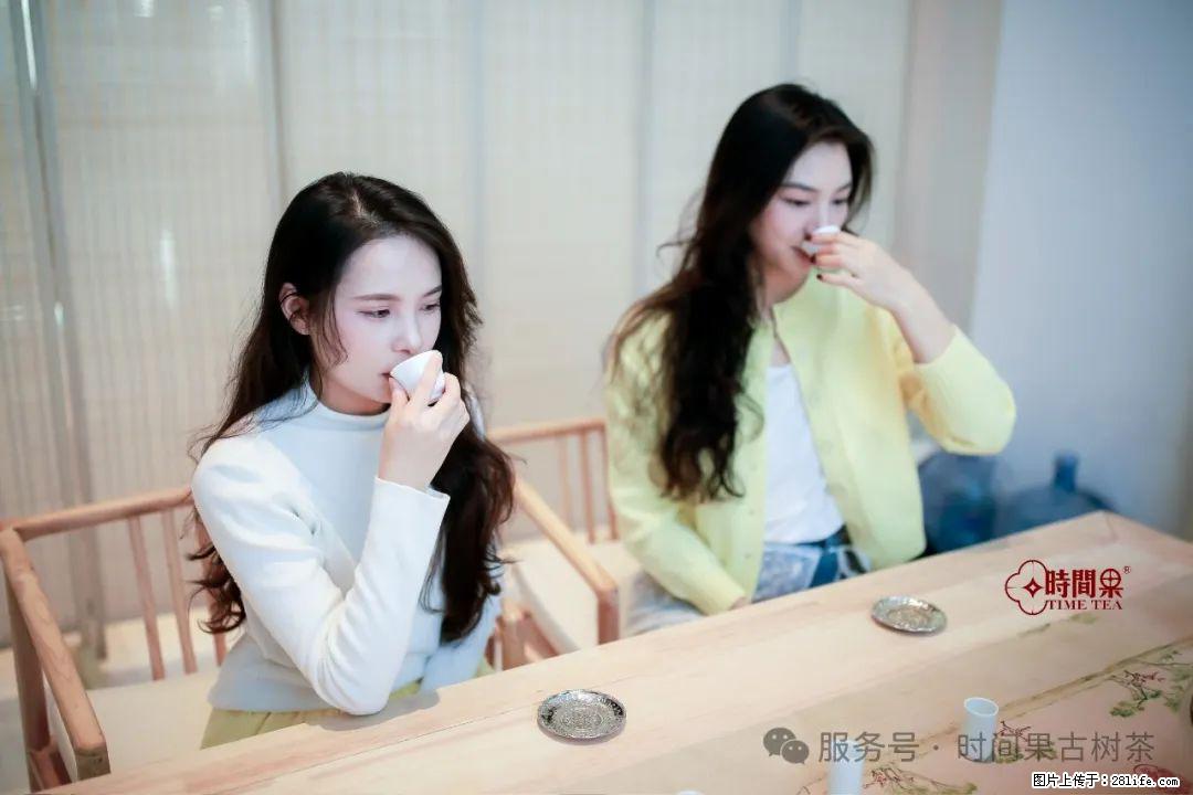 时间果百年古树龙珠普洱生茶 - 购物交流 - 哈密生活社区 - 哈密28生活网 hami.28life.net