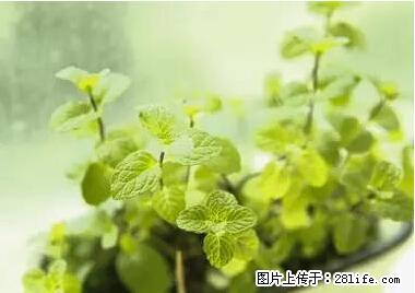 晕车、脚气、牙齿变黄、皮肤粗糙？学会这些三分钟搞定！ - 哈密生活资讯 - 哈密28生活网 hami.28life.net