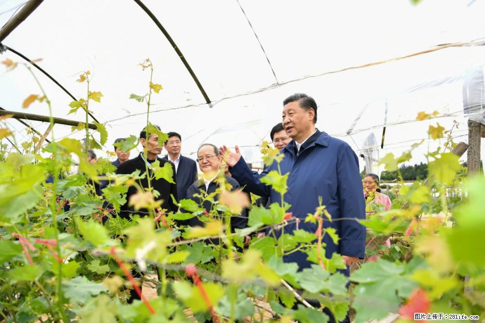 习近平赴广西考察调研 - 哈密生活资讯 - 哈密28生活网 hami.28life.net