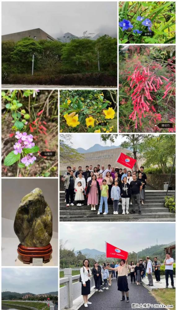 “粤灌文化 美好生活”油茶文化主题活动在广东深圳成功举办 - 哈密生活资讯 - 哈密28生活网 hami.28life.net