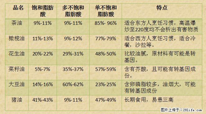 揭秘茶油的5大核心营养成分！被称为人体健康的“守护盾”！ - 哈密生活资讯 - 哈密28生活网 hami.28life.net