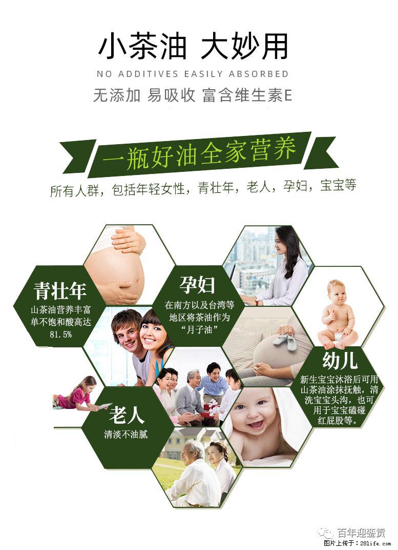 世界没有真相，只有认知，最好的食用油是中国的山茶油！ - 哈密生活资讯 - 哈密28生活网 hami.28life.net