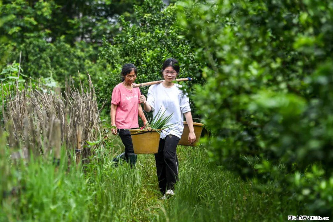 全网追的“扁担女孩”，找了一份暑假工，时薪12元 - 哈密生活资讯 - 哈密28生活网 hami.28life.net