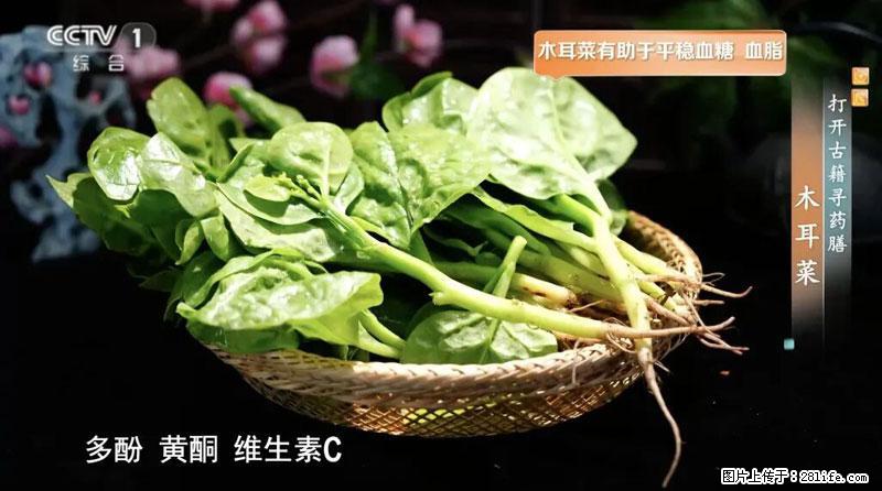 比牛奶补钙还厉害！凉血解毒、稳血糖...这菜冬天必吃，很多人却当草 - 哈密生活资讯 - 哈密28生活网 hami.28life.net