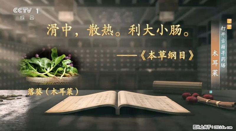 比牛奶补钙还厉害！凉血解毒、稳血糖...这菜冬天必吃，很多人却当草 - 哈密生活资讯 - 哈密28生活网 hami.28life.net