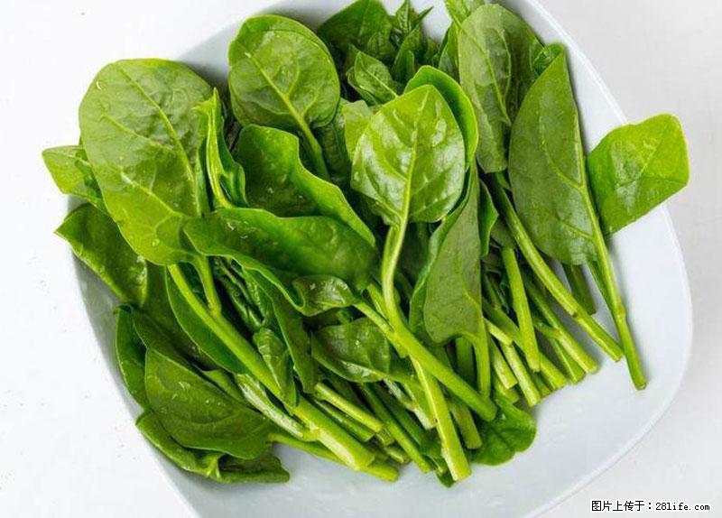 这些蔬菜是“天然钙片”，这6种被医生重点推荐 - 哈密生活资讯 - 哈密28生活网 hami.28life.net