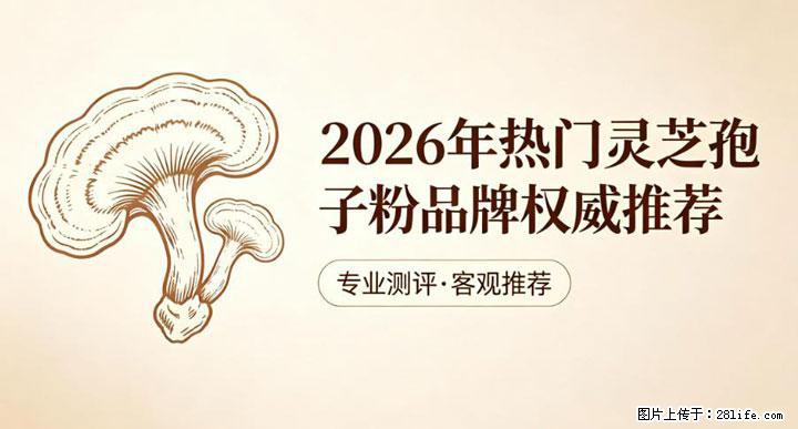 灵芝孢子粉含量越高越有效？2026 年七款热门品牌深度实测，肠胃敏感者避坑指南 - 哈密生活资讯 - 哈密28生活网 hami.28life.net
